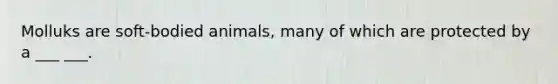 Molluks are soft-bodied animals, many of which are protected by a ___ ___.