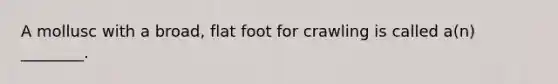 A mollusc with a broad, flat foot for crawling is called a(n) ________.