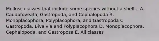 Mollusc classes that include some species without a shell... A. Caudofoveata, Gastropoda, and Cephalopoda B. Monoplacophora, Polyplacophora, and Gastropoda C. Gastropoda, Bivalvia and Polyplacophora D. Monoplacophora, Cephalopoda, and Gastroposa E. All classes