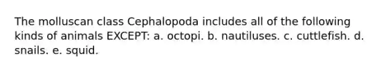 The molluscan class Cephalopoda includes all of the following kinds of animals EXCEPT: a. octopi. b. nautiluses. c. cuttlefish. d. snails. e. squid.