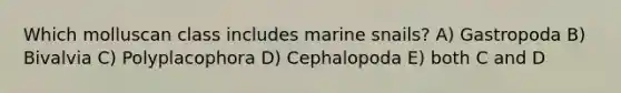 Which molluscan class includes marine snails? A) Gastropoda B) Bivalvia C) Polyplacophora D) Cephalopoda E) both C and D