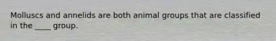 Molluscs and annelids are both animal groups that are classified in the ____ group.