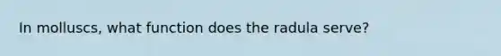 In molluscs, what function does the radula serve?