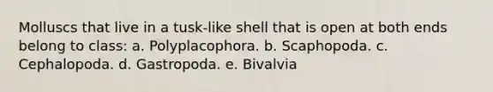 Molluscs that live in a tusk-like shell that is open at both ends belong to class: a. Polyplacophora. b. Scaphopoda. c. Cephalopoda. d. Gastropoda. e. Bivalvia