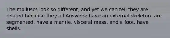 The molluscs look so different, and yet we can tell they are related because they all Answers: have an external skeleton. are segmented. have a mantle, visceral mass, and a foot. have shells.