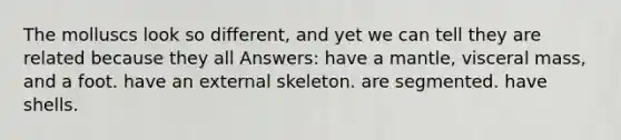 The molluscs look so different, and yet we can tell they are related because they all Answers: have a mantle, visceral mass, and a foot. have an external skeleton. are segmented. have shells.