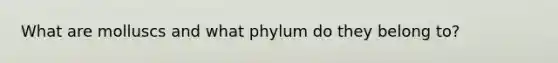 What are molluscs and what phylum do they belong to?