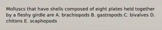 Molluscs that have shells composed of eight plates held together by a fleshy girdle are A. brachiopods B. gastropods C. bivalves D. chitons E. scaphopods