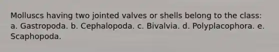 Molluscs having two jointed valves or shells belong to the class: a. Gastropoda. b. Cephalopoda. c. Bivalvia. d. Polyplacophora. e. Scaphopoda.