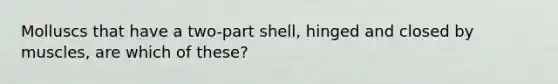 Molluscs that have a two-part shell, hinged and closed by muscles, are which of these?