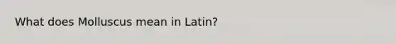 What does Molluscus mean in Latin?