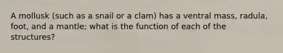 A mollusk (such as a snail or a clam) has a ventral mass, radula, foot, and a mantle; what is the function of each of the structures?