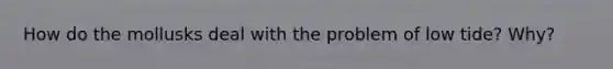 How do the mollusks deal with the problem of low tide? Why?
