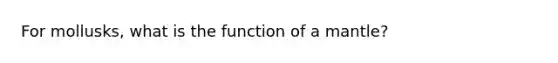 For mollusks, what is the function of a mantle?