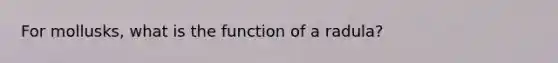 For mollusks, what is the function of a radula?