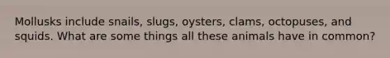 Mollusks include snails, slugs, oysters, clams, octopuses, and squids. What are some things all these animals have in common?