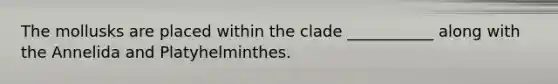 The mollusks are placed within the clade ___________ along with the Annelida and Platyhelminthes.