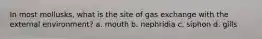 In most mollusks, what is the site of gas exchange with the external environment? a. mouth b. nephridia c. siphon d. gills