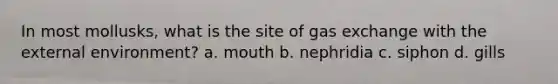 In most mollusks, what is the site of gas exchange with the external environment? a. mouth b. nephridia c. siphon d. gills