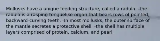 Mollusks have a unique feeding structure, called a radula. -the radula is a rasping tonguelike organ that bears rows of pointed, backward-curving teeth. -In most mollusks, the outer surface of the mantle secretes a protective shell. -the shell has multiple layers comprised of protein, calcium, and pearl.