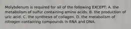 Molybdenum is required for all of the following EXCEPT: A. the metabolism of sulfur containing amino acids. B. the production of uric acid. C. the synthesis of collagen. D. the metabolism of nitrogen containing compounds in RNA and DNA.