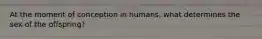 At the moment of conception in humans, what determines the sex of the offspring?