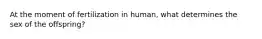 At the moment of fertilization in human, what determines the sex of the offspring?
