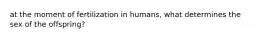 at the moment of fertilization in humans, what determines the sex of the offspring?