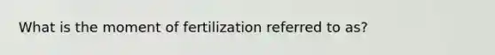 What is the moment of fertilization referred to as?