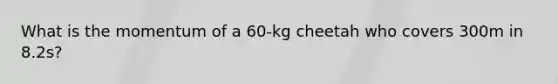 What is the momentum of a 60-kg cheetah who covers 300m in 8.2s?