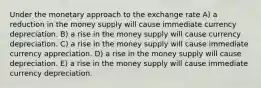 Under the monetary approach to the exchange rate A) a reduction in the money supply will cause immediate currency depreciation. B) a rise in the money supply will cause currency depreciation. C) a rise in the money supply will cause immediate currency appreciation. D) a rise in the money supply will cause depreciation. E) a rise in the money supply will cause immediate currency depreciation.