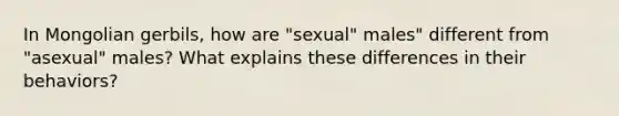 In Mongolian gerbils, how are "sexual" males" different from "asexual" males? What explains these differences in their behaviors?