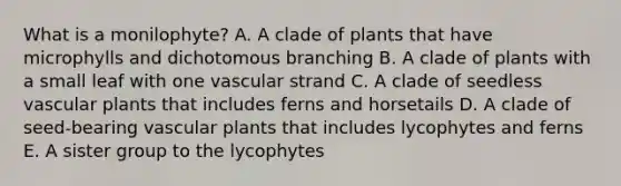 What is a monilophyte? A. A clade of plants that have microphylls and dichotomous branching B. A clade of plants with a small leaf with one vascular strand C. A clade of seedless vascular plants that includes ferns and horsetails D. A clade of seed-bearing vascular plants that includes lycophytes and ferns E. A sister group to the lycophytes