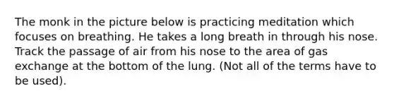 The monk in the picture below is practicing meditation which focuses on breathing. He takes a long breath in through his nose. Track the passage of air from his nose to the area of gas exchange at the bottom of the lung. (Not all of the terms have to be used).