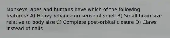 Monkeys, apes and humans have which of the following features? A) Heavy reliance on sense of smell B) Small brain size relative to body size C) Complete post-orbital closure D) Claws instead of nails