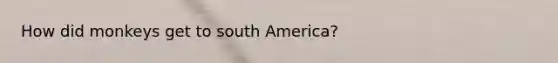 How did monkeys get to south America?