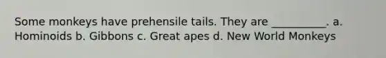 Some monkeys have prehensile tails. They are __________. a. Hominoids b. Gibbons c. Great apes d. New World Monkeys