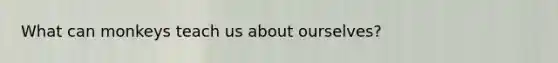 What can monkeys teach us about ourselves?