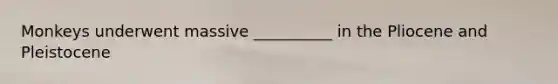 Monkeys underwent massive __________ in the Pliocene and Pleistocene
