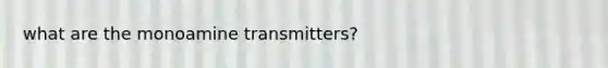 what are the monoamine transmitters?