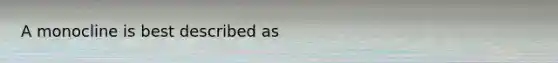 A monocline is best described as