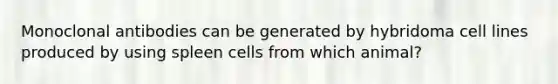 Monoclonal antibodies can be generated by hybridoma cell lines produced by using spleen cells from which animal?