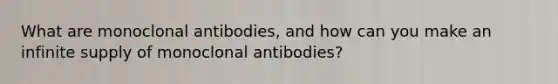 What are monoclonal antibodies, and how can you make an infinite supply of monoclonal antibodies?