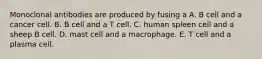 Monoclonal antibodies are produced by fusing a A. B cell and a cancer cell. B. B cell and a T cell. C. human spleen cell and a sheep B cell. D. mast cell and a macrophage. E. T cell and a plasma cell.