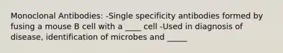 Monoclonal Antibodies: -Single specificity antibodies formed by fusing a mouse B cell with a ____ cell -Used in diagnosis of disease, identification of microbes and _____