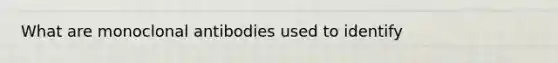 What are monoclonal antibodies used to identify