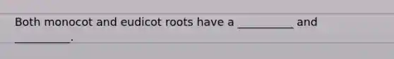 Both monocot and eudicot roots have a __________ and __________.