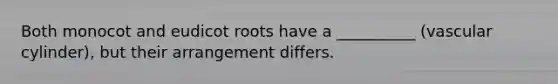 Both monocot and eudicot roots have a __________ (vascular cylinder), but their arrangement differs.