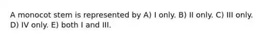 A monocot stem is represented by A) I only. B) II only. C) III only. D) IV only. E) both I and III.