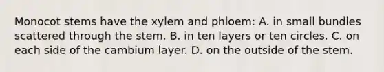 Monocot stems have the xylem and phloem: A. in small bundles scattered through the stem. B. in ten layers or ten circles. C. on each side of the cambium layer. D. on the outside of the stem.